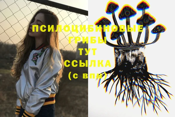 бошки Алзамай