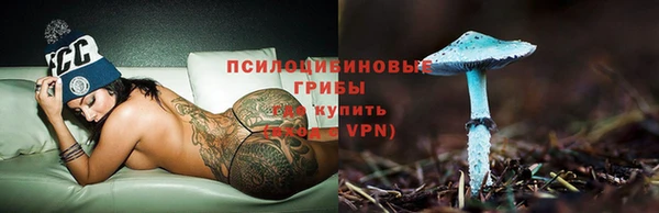 ECSTASY Аркадак