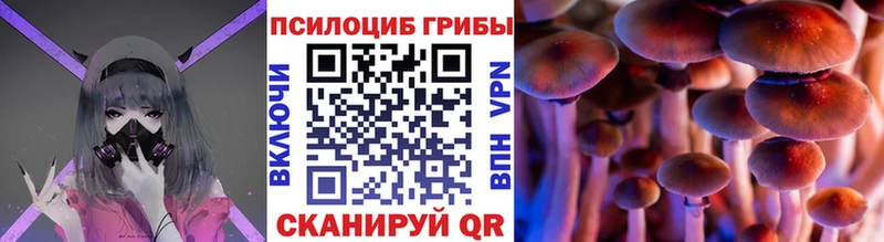 Галлюциногенные грибы GOLDEN TEACHER  Ликино-Дулёво 